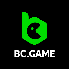 Exploring Payment Methods at BC.Game in India -2121011215