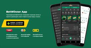 Explore BetWinner Casino & Sportsbook Your Ultimate Betting Experience
